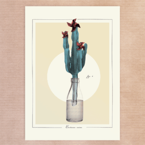 Fig. 5 Cactaceae Anima – Série Limitée