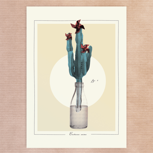 Fig. 5 Cactaceae Anima - Série Limitée